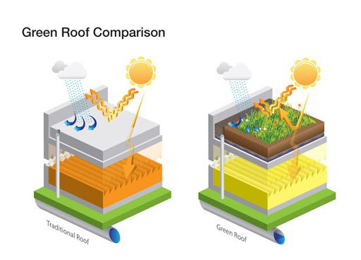 بام سبز و کاهش مصرف انرژی - اسپینگر - روف گاردن