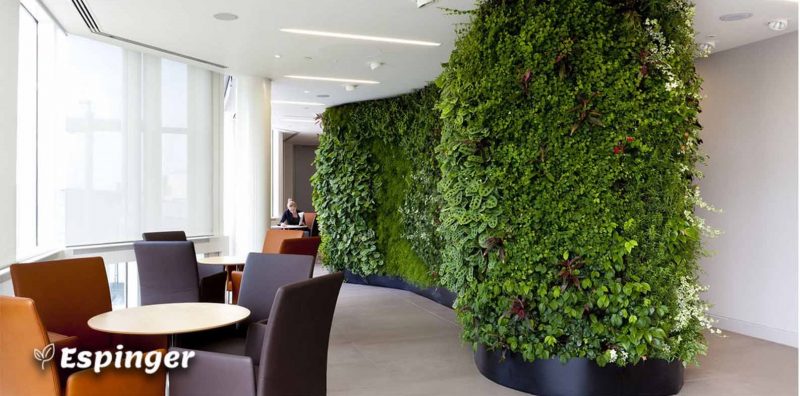 دیوار سبز، گیاهان آپارتمانی