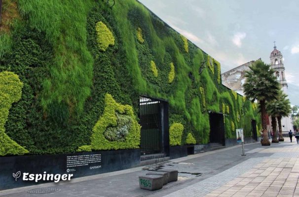 دیوار سبز خارجی، Lining Wall