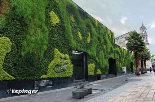 تفاوت دیوار سبز داخلی و خارجی، Lining Wall