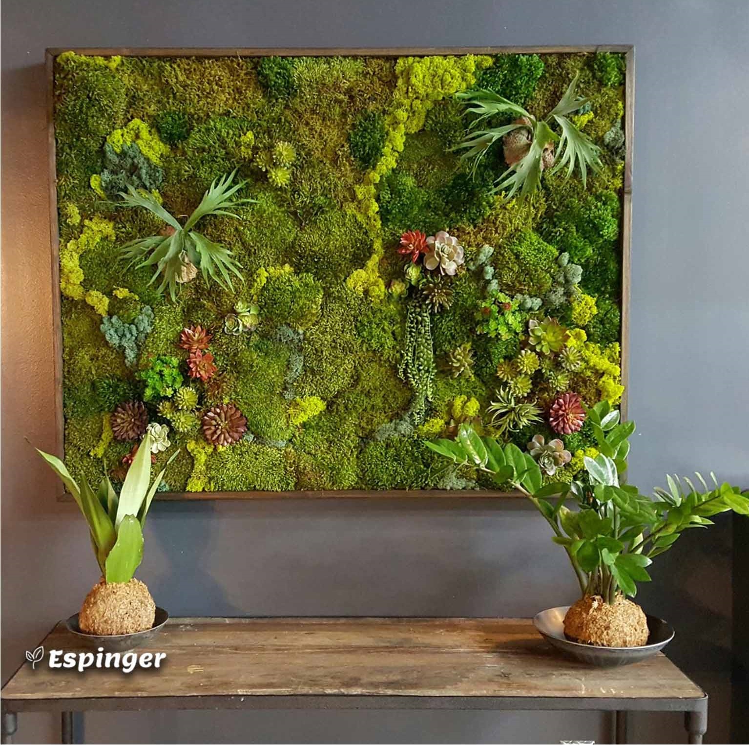 ماس وال Moss Wall چیست؟ اسپینگر طراح و مجری تخصصی روف گاردن