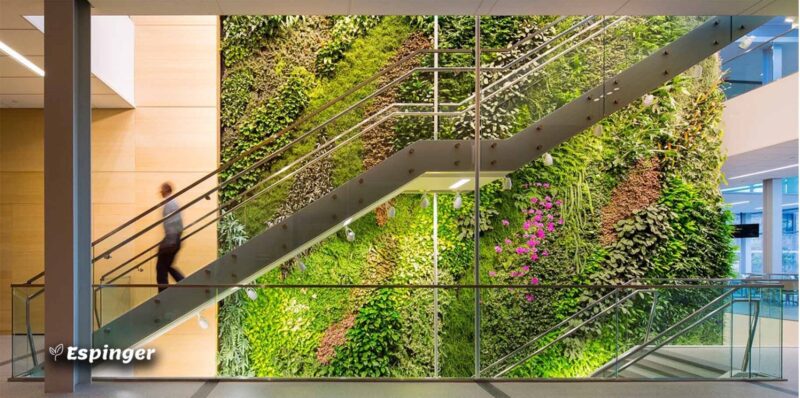 green wall benefits 1 800x398 - مزایا و معایب گرین وال